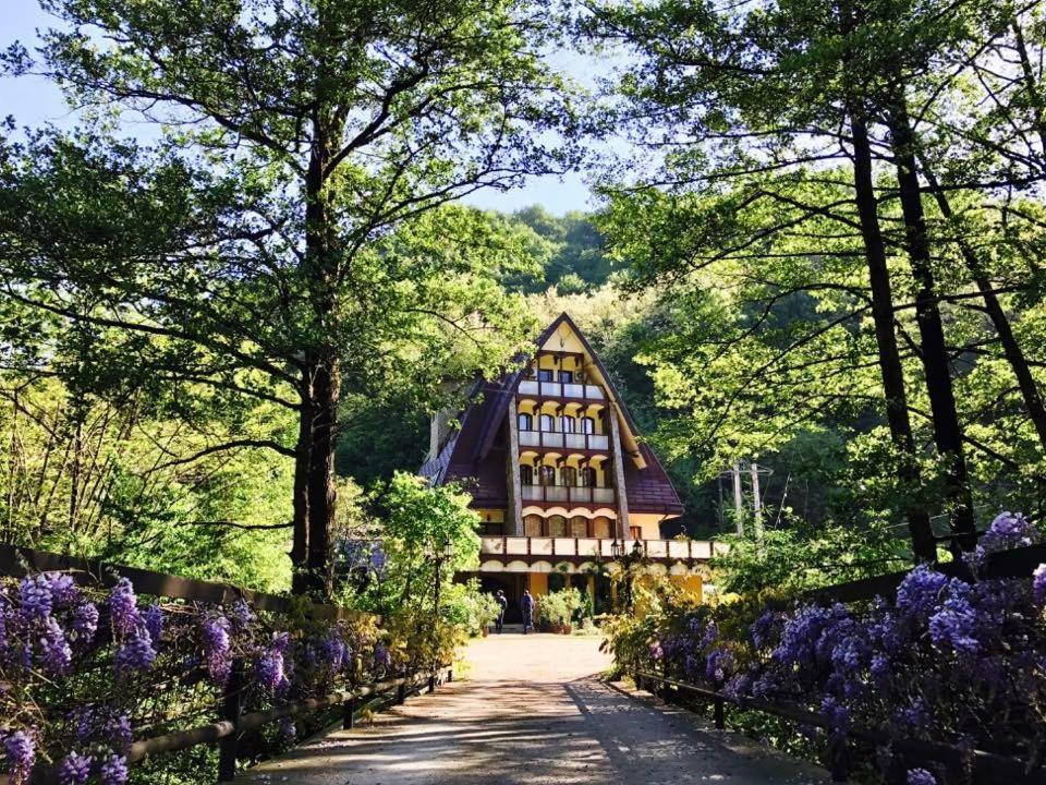 Pension Casa Vanatorilor Baile Olanesti Exterior foto