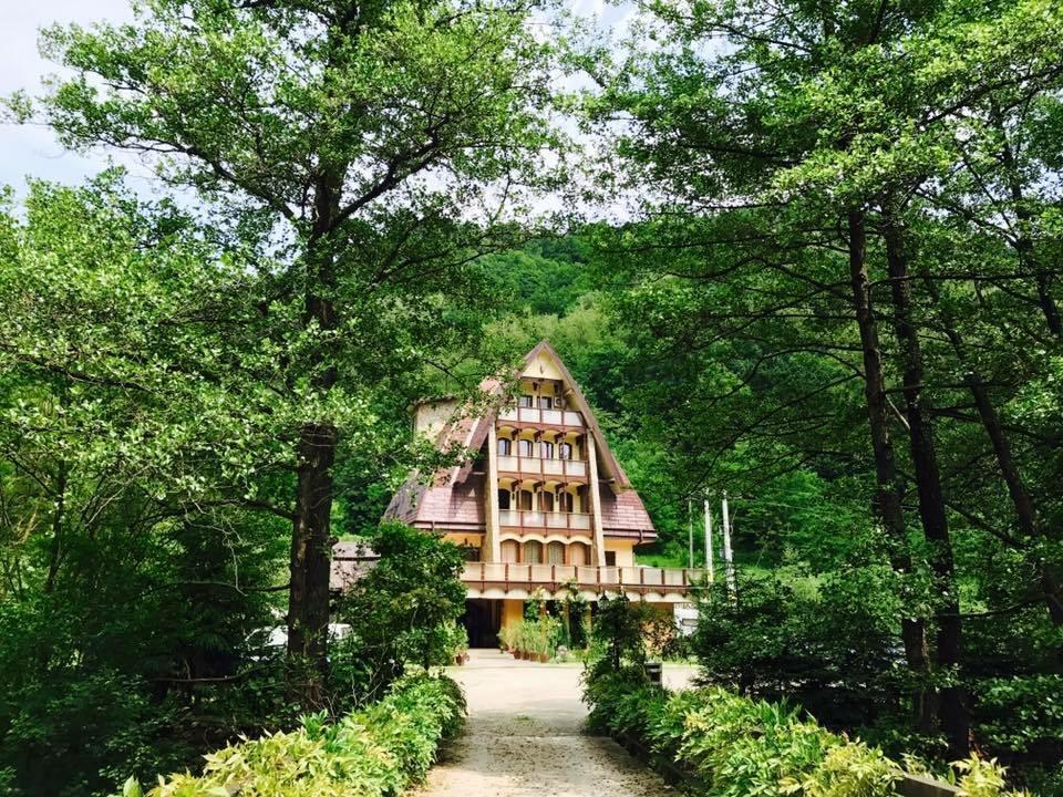 Pension Casa Vanatorilor Baile Olanesti Exterior foto