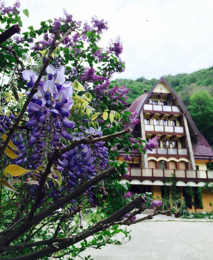Pension Casa Vanatorilor Baile Olanesti Exterior foto
